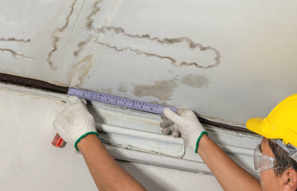 Reliable Mold Remediation contractor in Hallsville, MO by Local Water Damage Repair